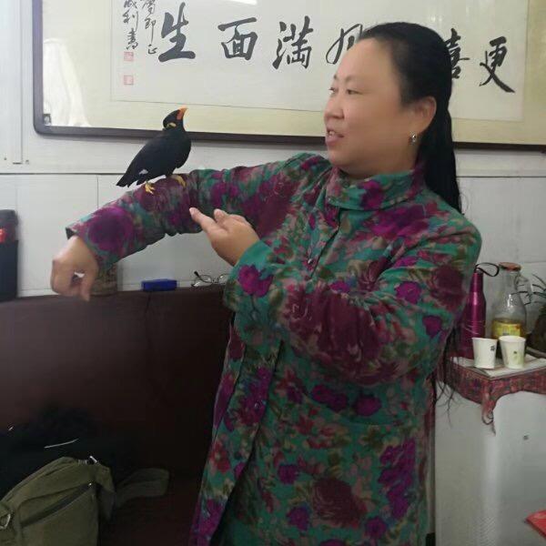 冬花（拒绝合拍）