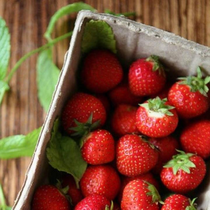 🍓培培
