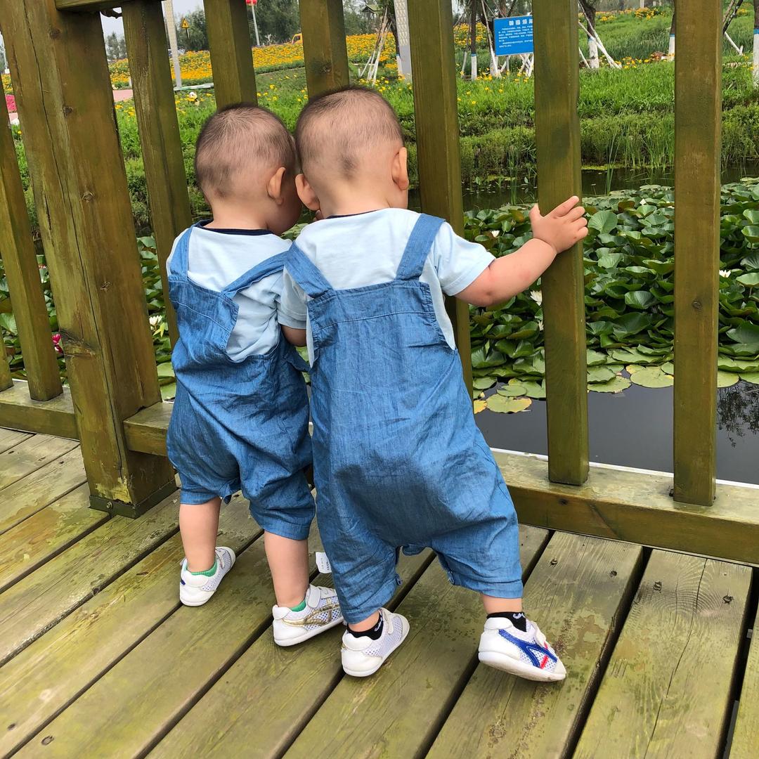 豆包👬汤圆