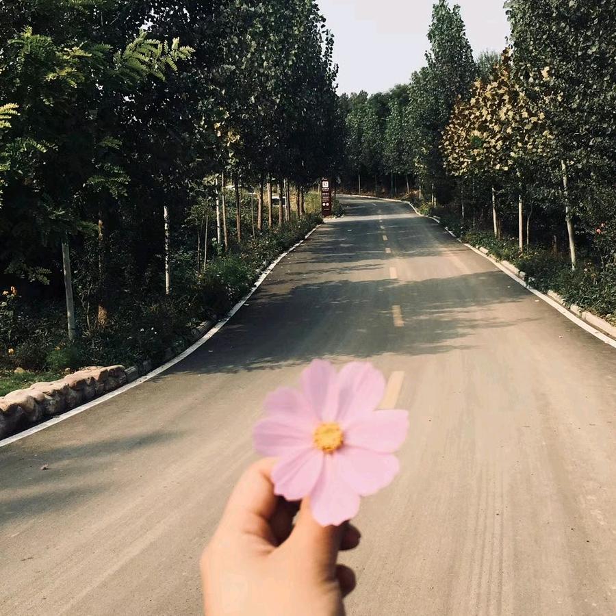 影子鱼