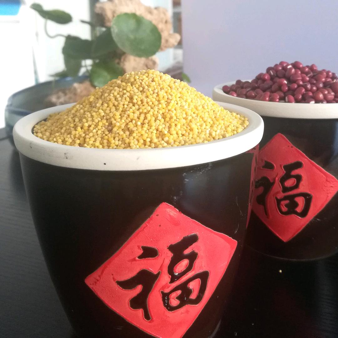 梦晴禾月