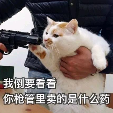 利维尔瓜皮