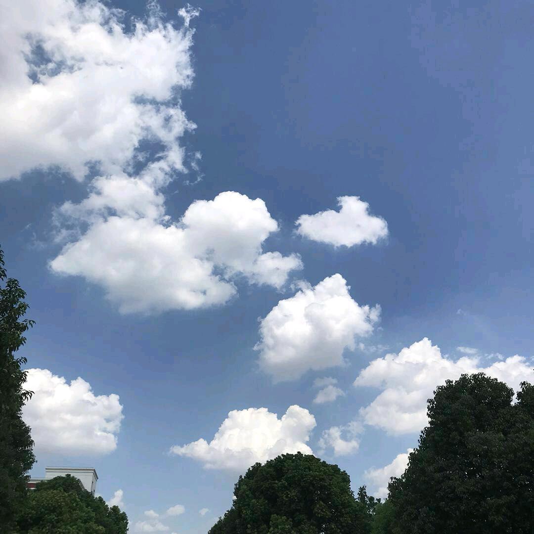 涂秀芹