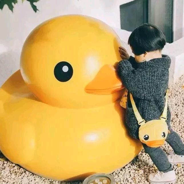 紫色幽兰