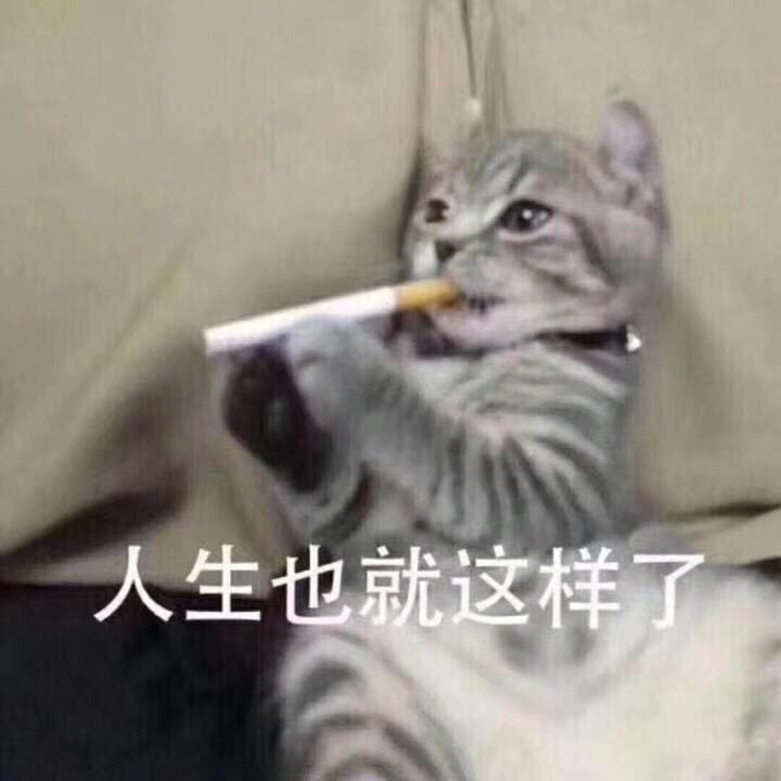疯狗ENTP（咖喱喜剧脱口秀演员）