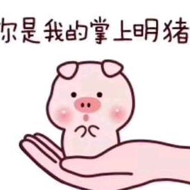 芙蓉宝贝