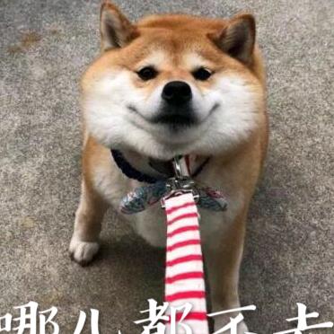 苏琦