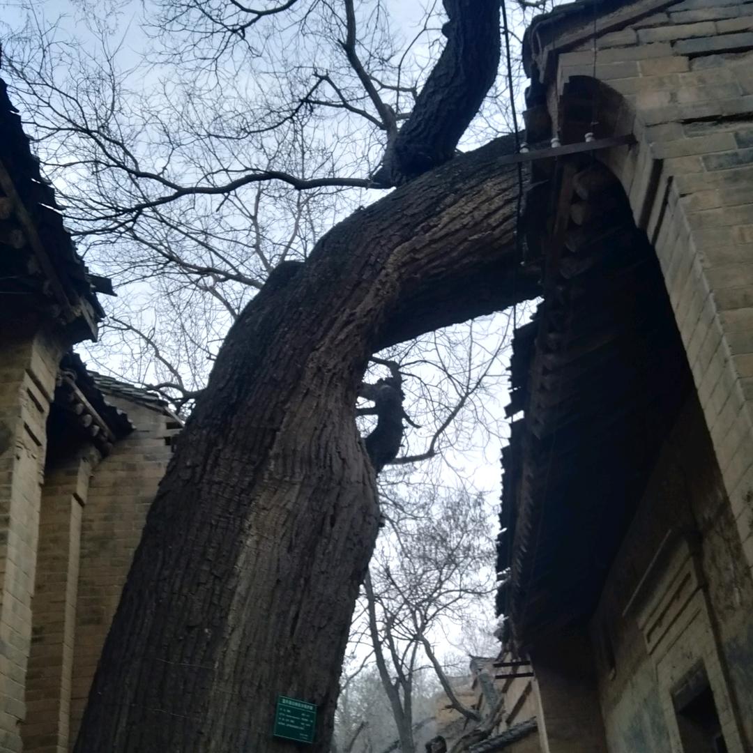 幸福会给珍惜人