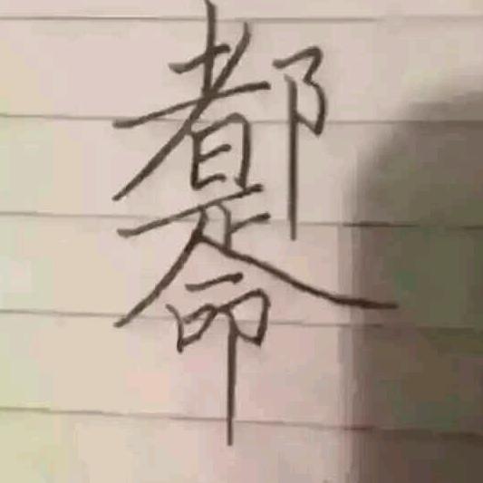 海豚
