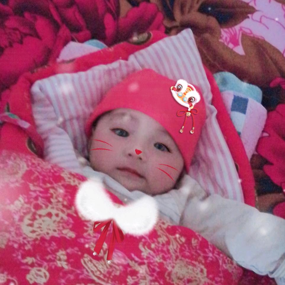 一朵💝付廷花