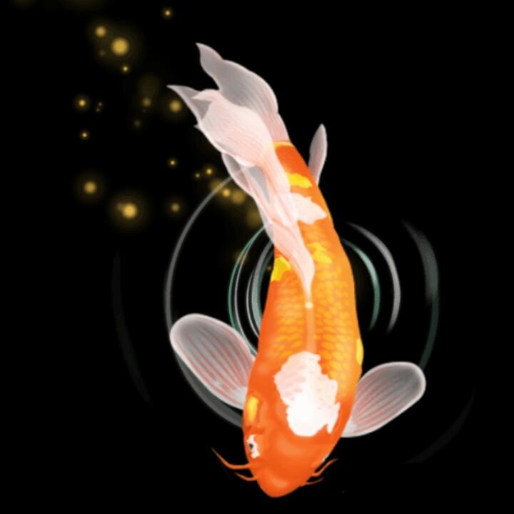 斗转星移