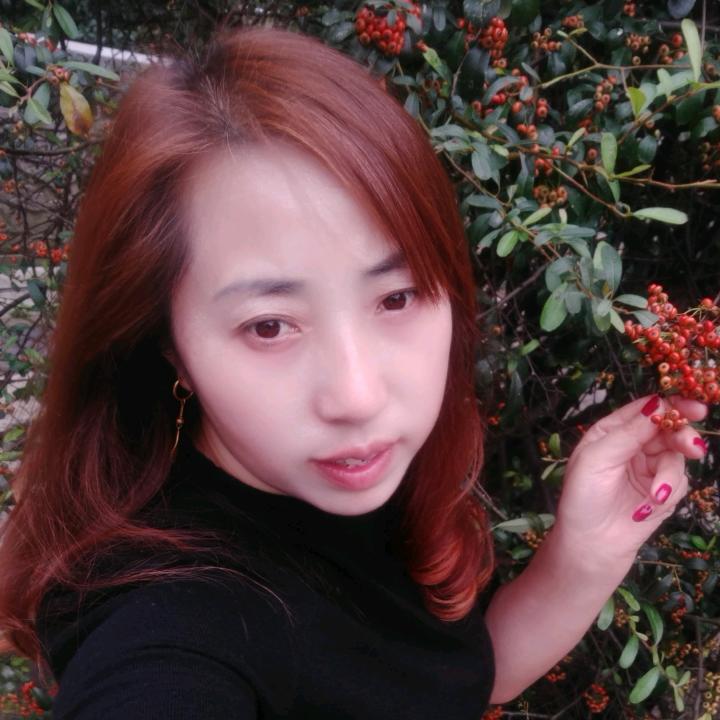风过无痕🍁