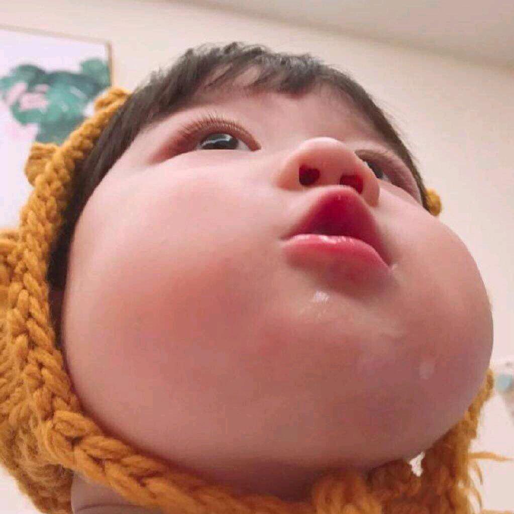 我的肉球呀