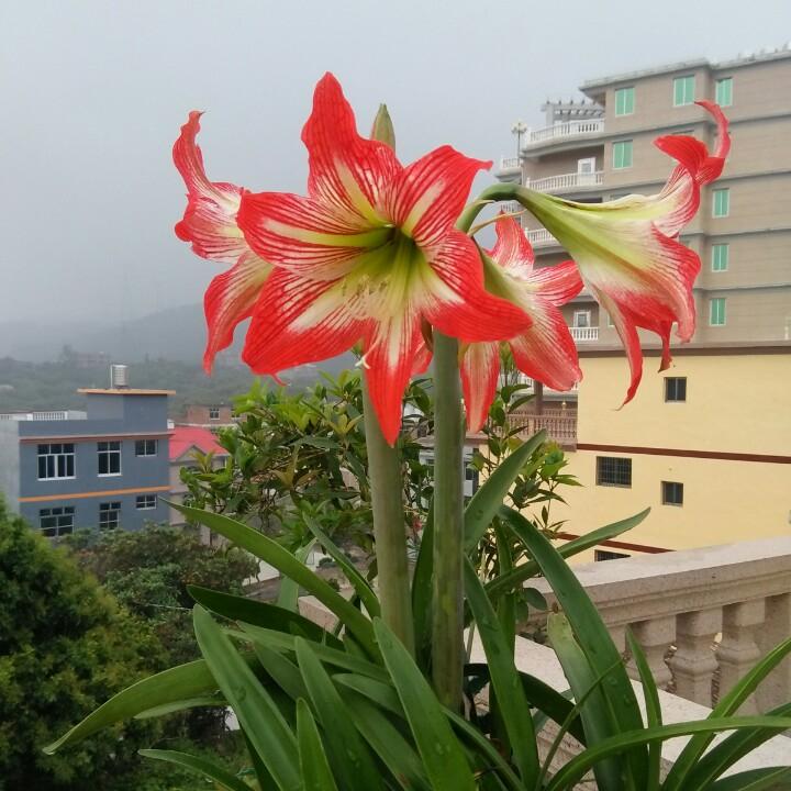 永恒的执着