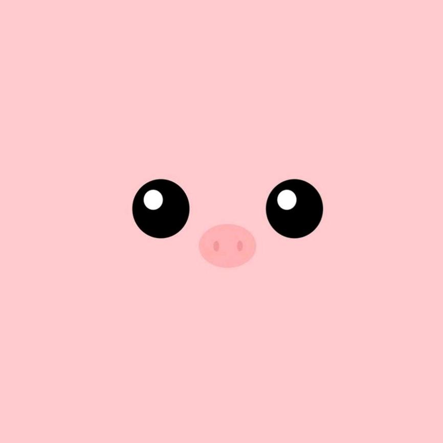 诺宝