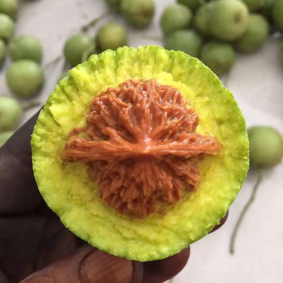 涞水核桃高