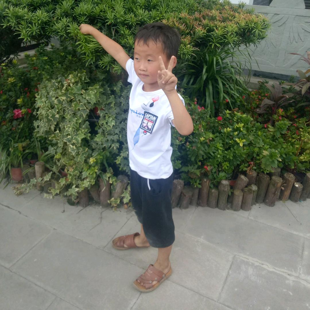 向梦想出发