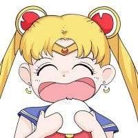 一只丸子