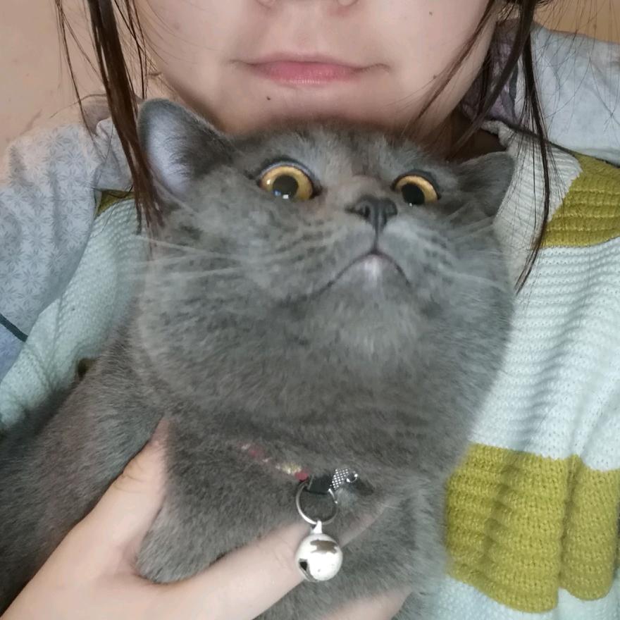 小粽子