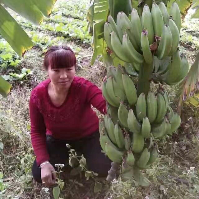 c💌l💌x开心快乐