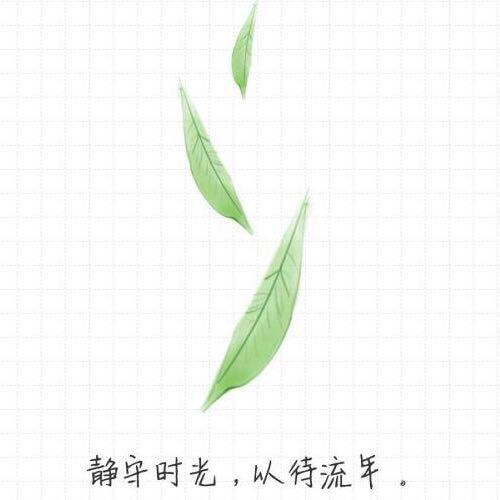 淡泊明志