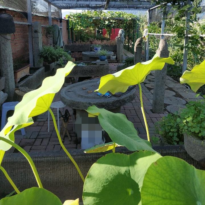 乡俗小院