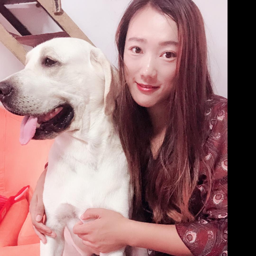 多多神犬