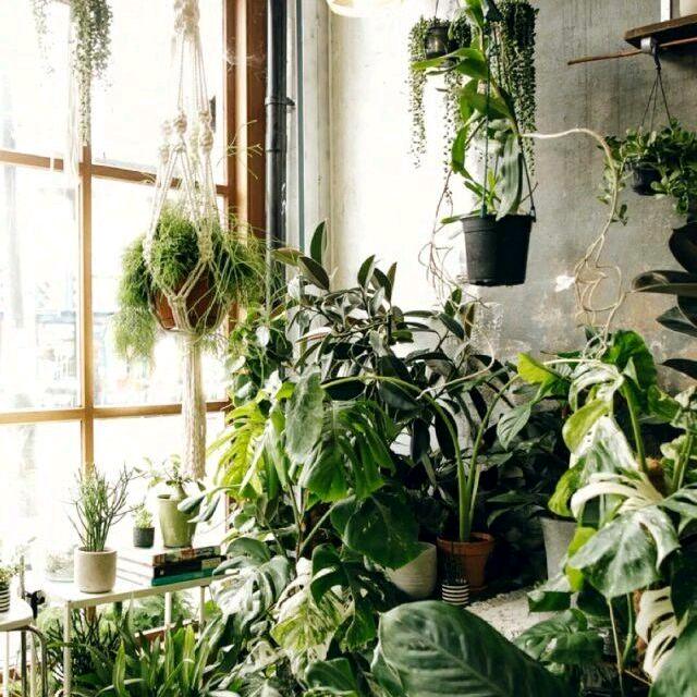 梦想开始的地方