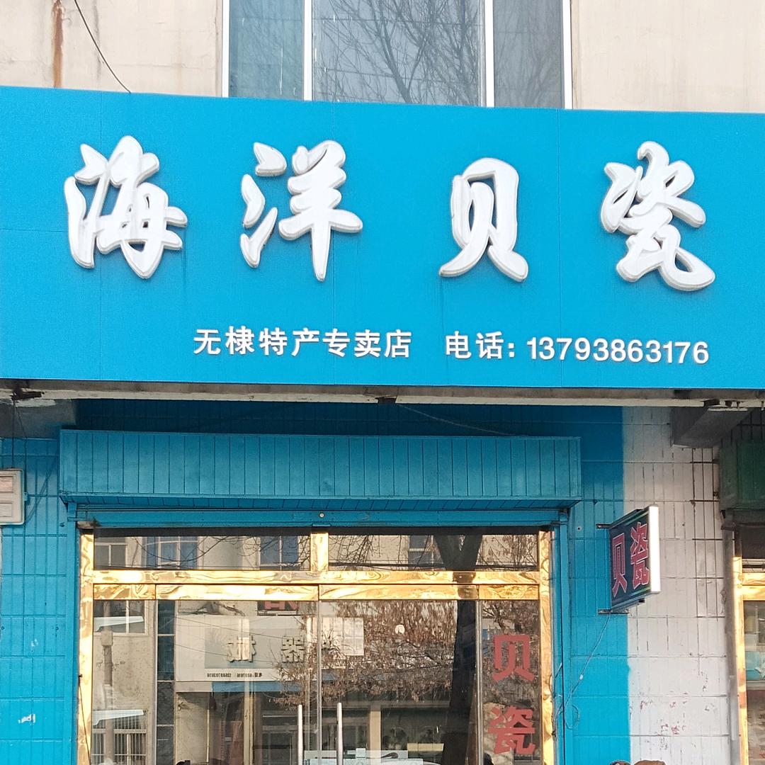 海洋贝瓷