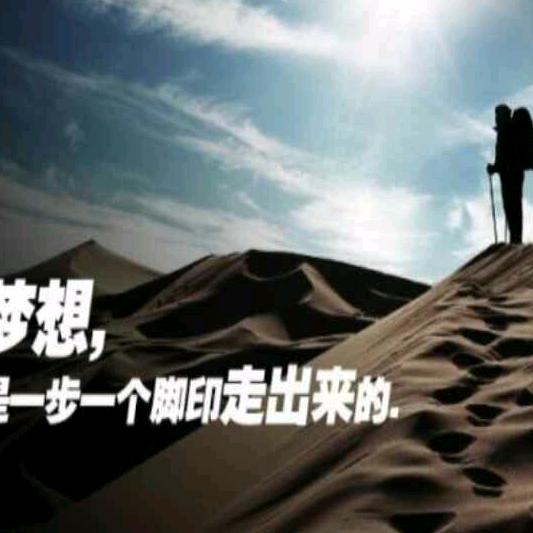 额敏养牛张哥