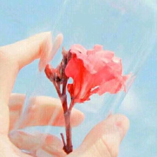 谁人顾