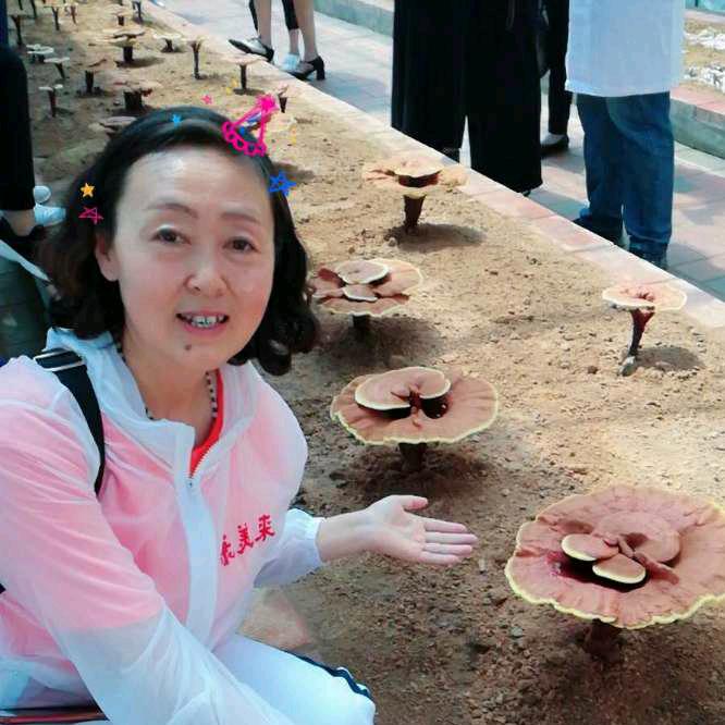 抖起姐