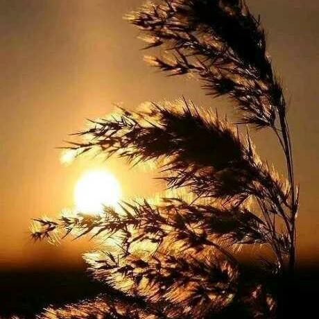 初夏(*^ω^*)微凉