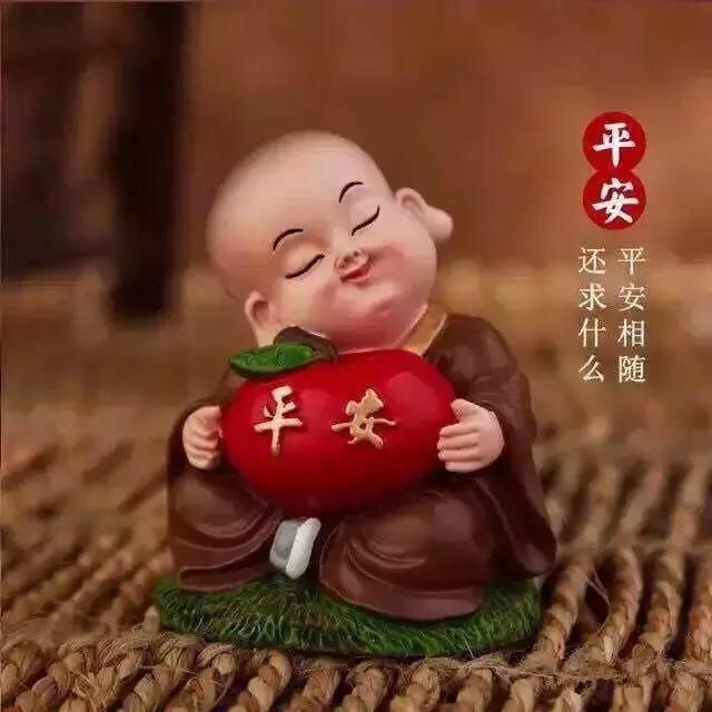 舍……得