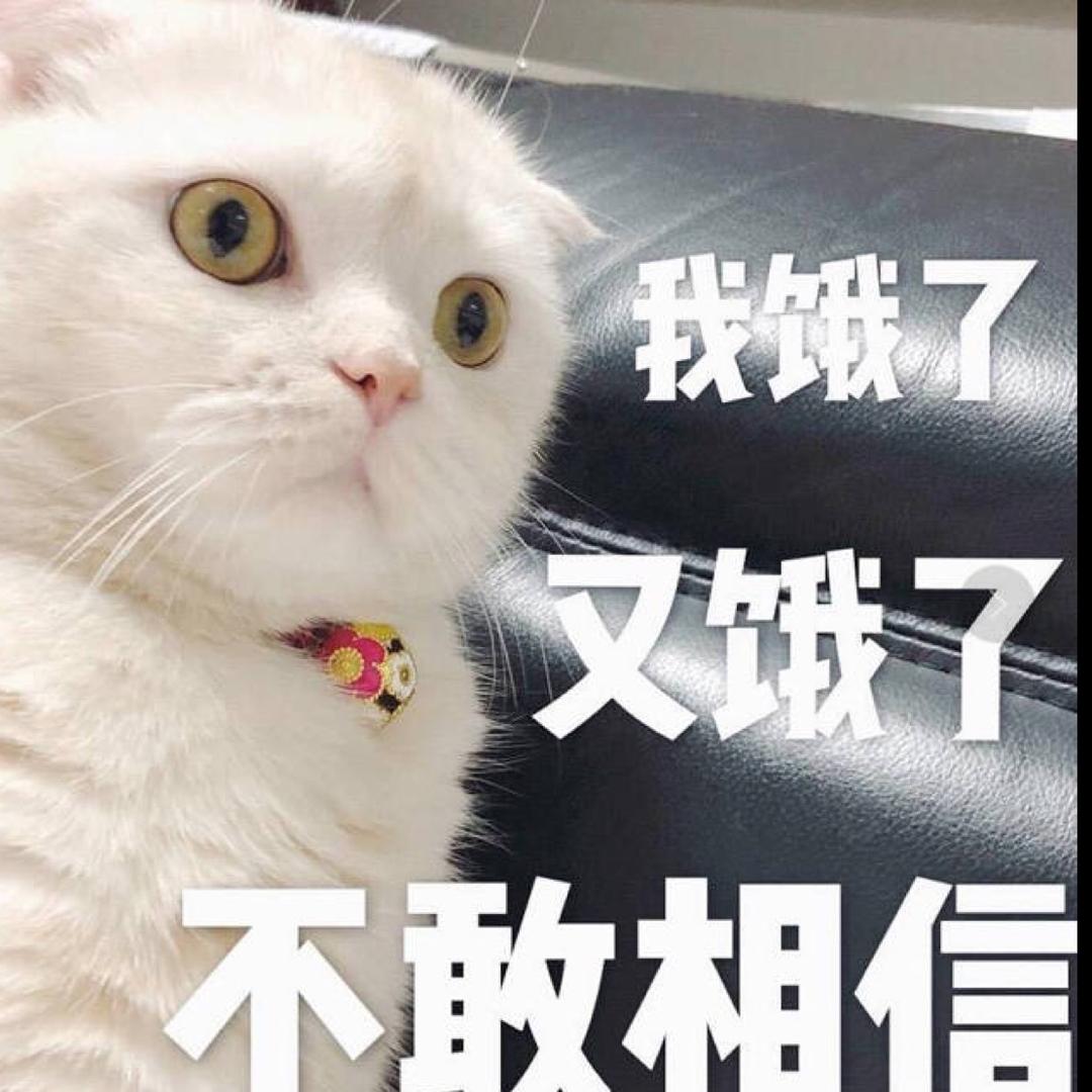 不吃不喝胖五斤