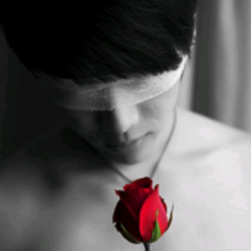 echooo：