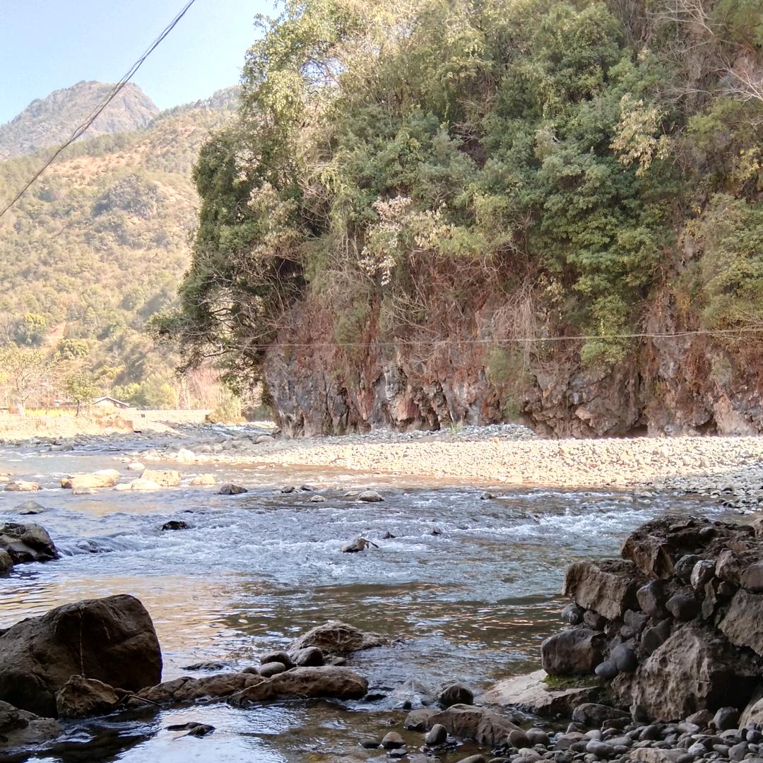 大山深处一片叶