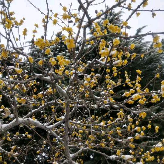 驿家365新河振堂路店