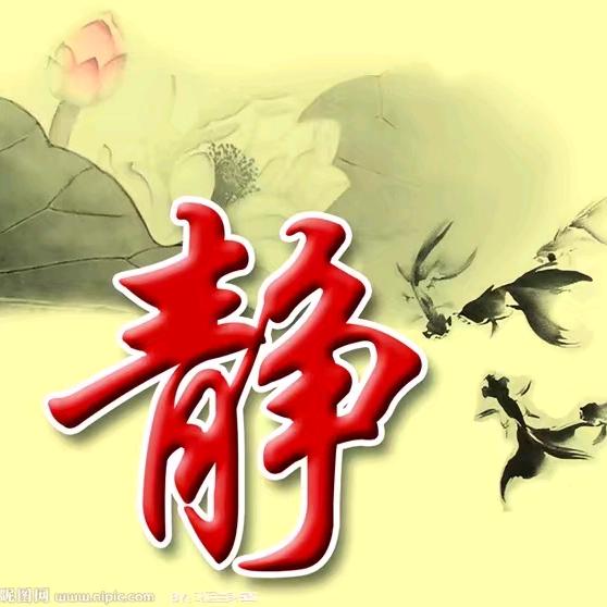 橙子%最爱