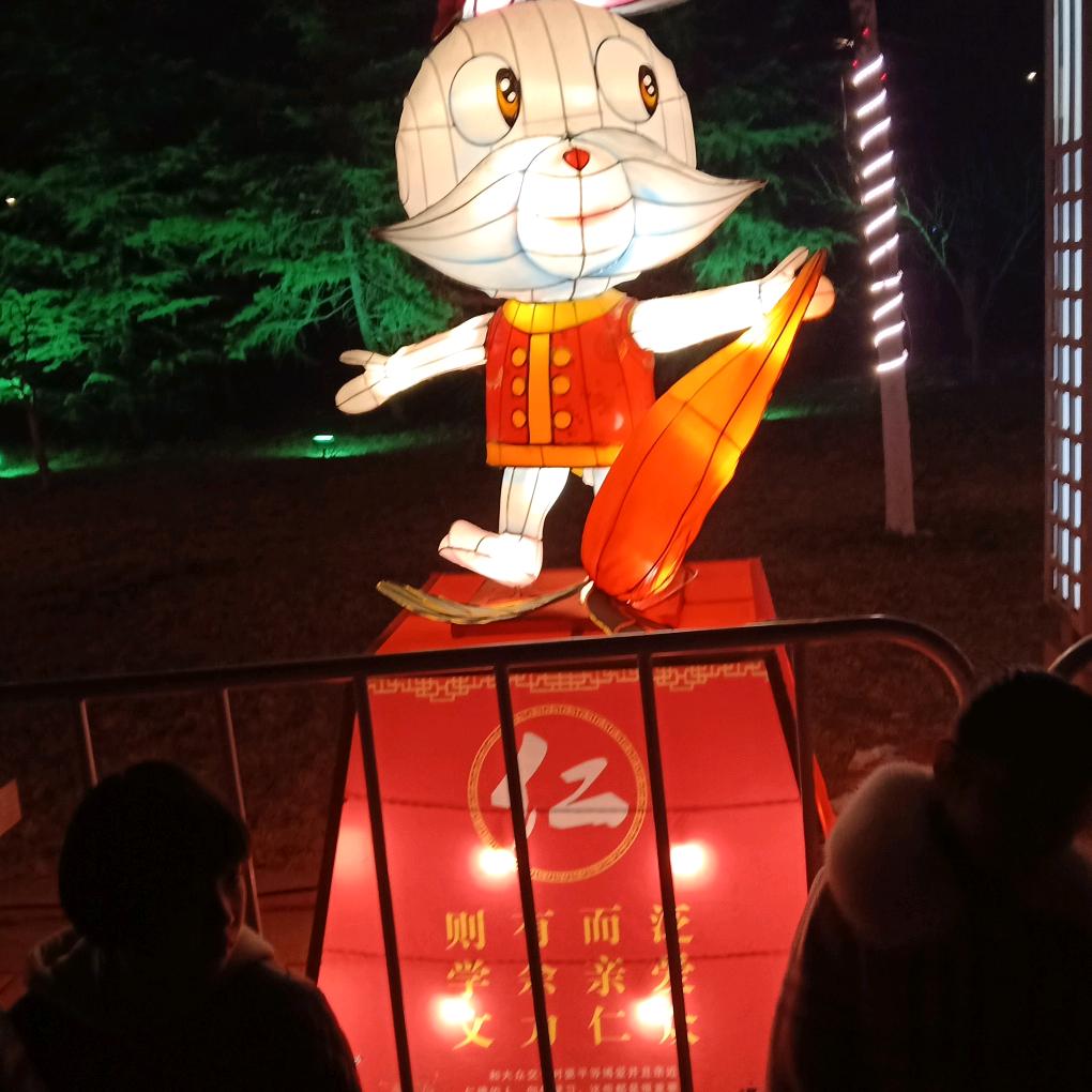 黑兔二哥