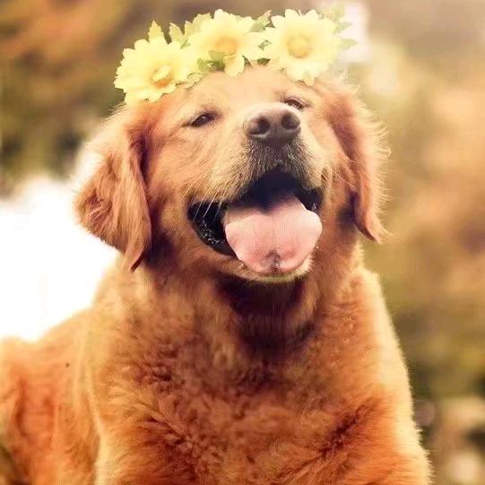 啊卡啵糖😘