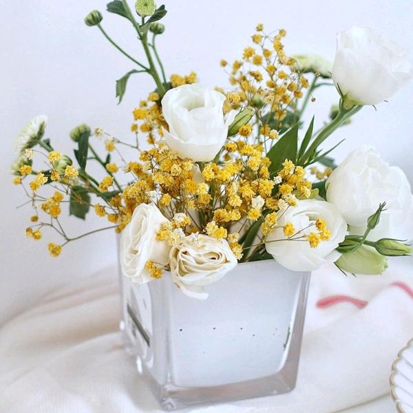 美丽人生🍎🍎