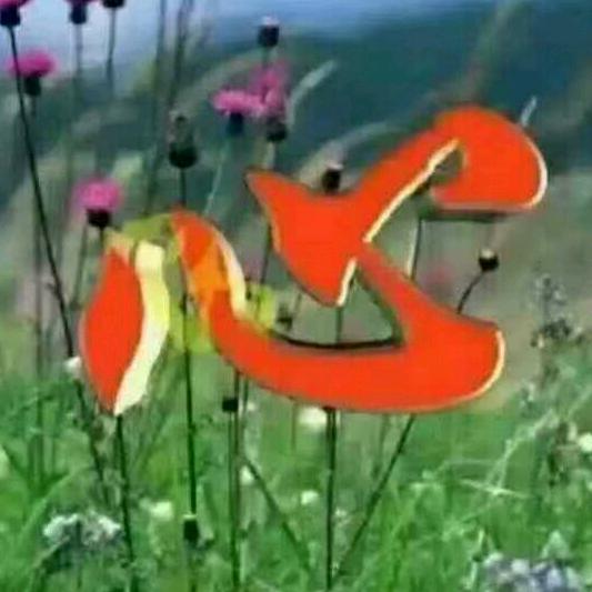 上善若水