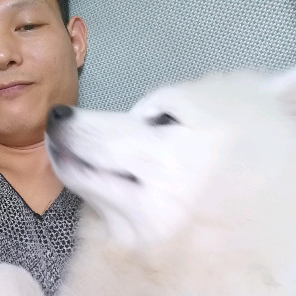 孤🐺