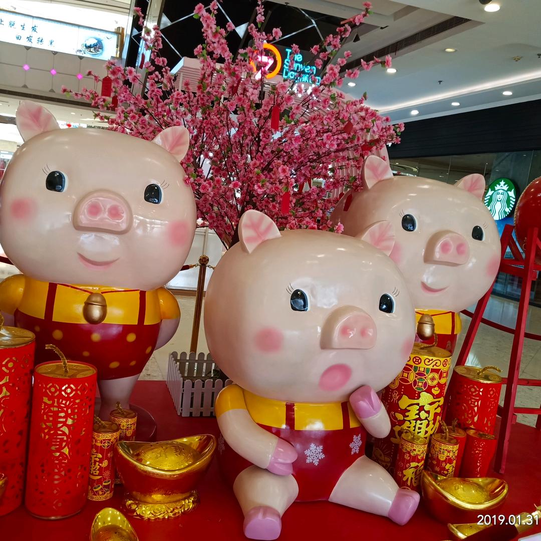 三宝同学