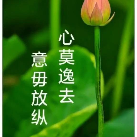 往事随风@拒绝连赞