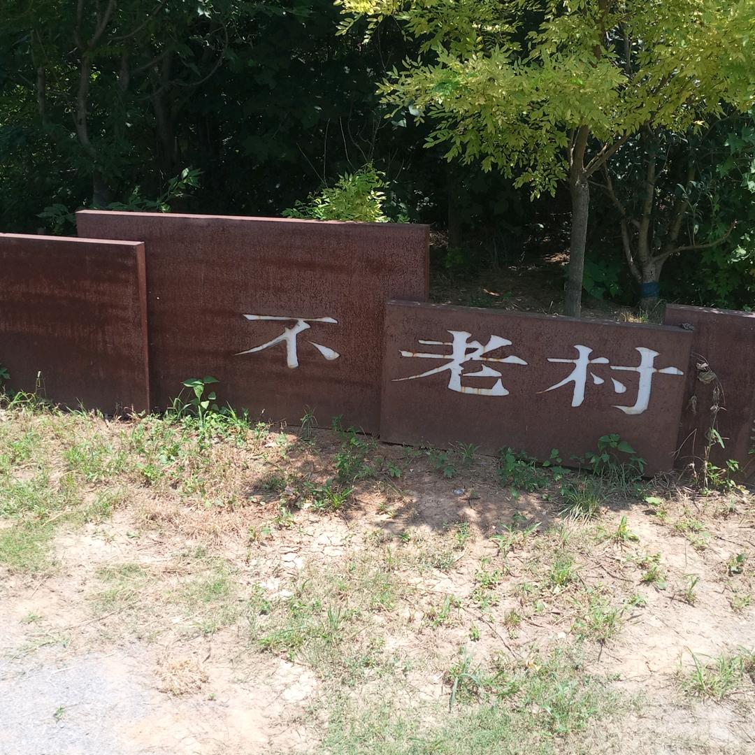 🚄***老李