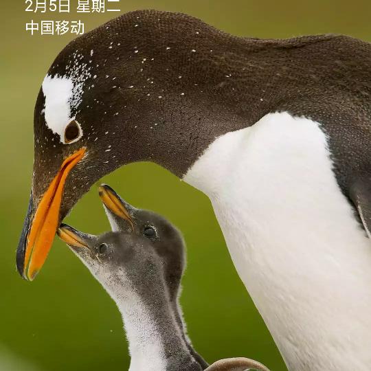 浅暗时光