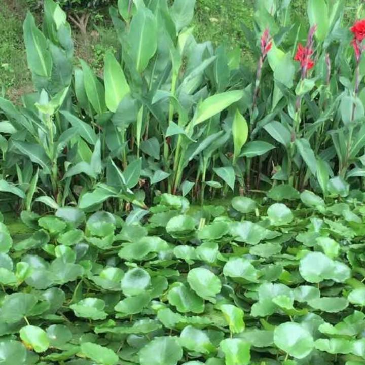 你开心，我快乐