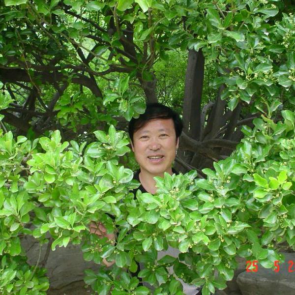 用户410687渤海鑫声